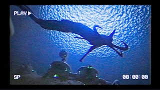 The Leviathan Incident  Subnautica VHS [upl. by Annauqal855]