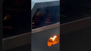 Lighting My Backyard WOOD FIRE OVEN with Pizzello woodfiredpizza [upl. by Winne396]