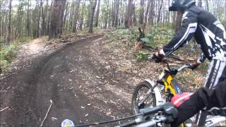 2013 Sherco 305 and 290 Fun  GOPRO HD  Hillclimbs [upl. by Homere]