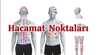 Hacamat Noktaları Nelerdir [upl. by Dygal]