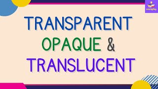 Transparent  Opaque amp Translucent Objects  Examples  Class 6 [upl. by Ilime]