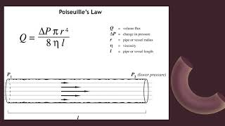 Poiseuilles law [upl. by Jade]