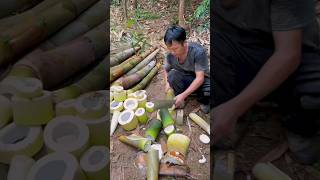 Farming Slice Bamboo Shoot amazing farming bamboo bambooshoot viral fruit food wildlife [upl. by Oicafinob]