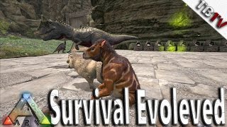 Ark Survival Evolved  BABIES FOR DAYS  Chalicotherium Breeding  Ark Survival S3E14  TagBackTV [upl. by Ekud]