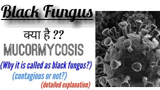 BLACK FUNGUS  Mucormycosis  Types of MUCORMYCOSIS  contagious  Why is it called black fungus [upl. by Simon12]