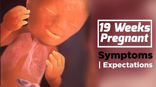 19 Weeks Pregnant  Pregnancy Week By Week Symptoms  The Voice Of Woman [upl. by Ivan946]