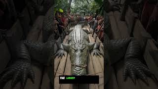 Giant 29Foot Crocodile Caught on Camera  Lolongs Brother  Must Watch Shorts [upl. by Sillsby]