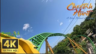 Cheetah Hunt POV  4K 60fps  Busch Gardens Tampa  GoPro 11 [upl. by Lorianna]