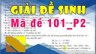 Giải đề Sinh  Mã đề 101Phần 2  Nguyên Sin GV [upl. by Moth]