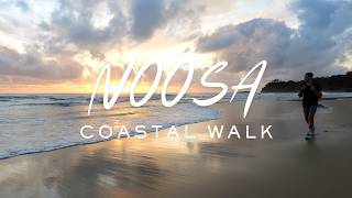 Noosa National Park Cinematic Hike on Noosa Coastal Walk [upl. by Pollie]