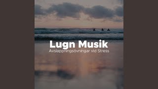 Lugn Musik [upl. by Sirahc22]