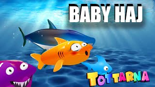 Bebis haj  Baby shark på svenska tecknade barnlåtar och sånger Bäbis HAJ baby haj [upl. by Corron]