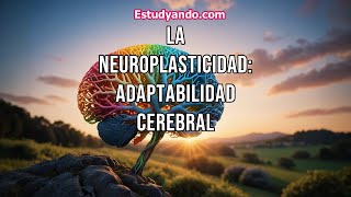 La Neuroplasticidad adaptabilidad cerebral [upl. by Mcallister]