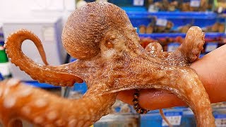 Korean Street Food  GIANT OCTOPUS Seoul Seafood [upl. by Renfred]