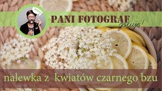 nalewka z kwiatów czarnego bzu  przepis [upl. by Venetis44]