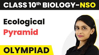 Ecological Pyramids  Our Environment  Class 10 National Science Olympiad Biology [upl. by Gamin]