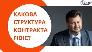 Какова структура контракта FIDIC [upl. by Atekihs]