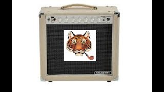 Monoprice Stage Right 15 Watt alltube 1x12 guitar amplifier model 611815  a PipeCat review [upl. by Luap8]