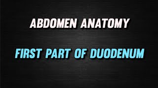 DUODENUM  FIRST PART OF DUODENUM  ABDOMEN ANATOMY  BDC  ftxenos [upl. by Rastus]