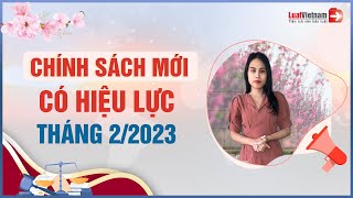 Chính Sách Mới Tháng 22023 Sửa Quy Định Về Lãnh BHXH 1 Lần  LuatVietnam [upl. by Khosrow494]