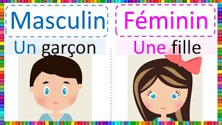 Apprendre le Masculin et le Féminin [upl. by Attenhoj952]