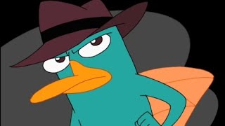 A platypus Perry the puberty platypus [upl. by Aerdma739]