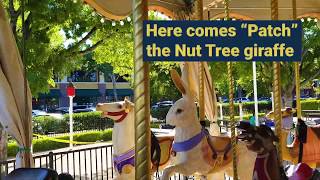 National Merry Go Round Day  Nut Tree Carousel  Vacaville CA [upl. by Wun]