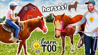 Horseback Riding 🐎  Learn About Horses for Kids  Ride Horses on the Farm  Educational for Kids [upl. by Letsirk]