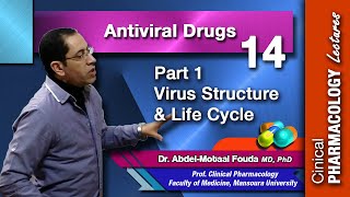 Antiviral Chemotherapy  Part 1 virus structure and life cycle [upl. by Yelreveb]