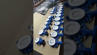 High Performance PTFE Butterfly Valve  Ultimate Corrosion Resistance valve machine worldsvalve [upl. by Aicnorev]