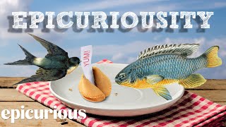 Epicuriousity Series Trailer  Artisanal Food Masters  Epicurious [upl. by Narayan]