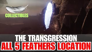 All 5 Feathers Location Guide in The Transgression  Feathers in The Transgression TriumphDestiny 2 [upl. by Ehling477]