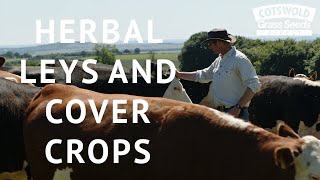 Herbal Leys and cover crops with George Hosier [upl. by Gittel831]