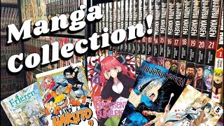 Manga Collection Tour   500  Volumes [upl. by Esiuqram]