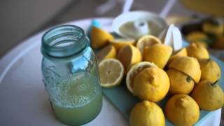 How To Make Fresh Lemon Sorbet  Lemon Sorbet Recipe [upl. by Ronna]