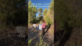 An Amazing FREE Campsite near Great Sand Dunes National Park Colorado and Mt Blanca [upl. by Enner996]