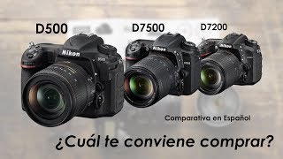 Comparativa D7500 vs D7200 vs D500 [upl. by Riaj]