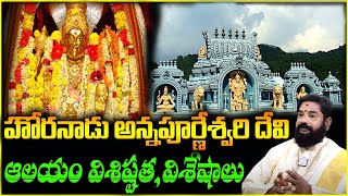 హొరనాడు అన్నపూర్ణేశ్వరి దేవి ఆలయం విశిష్టతవిశేషాలు  Horanadu Annapoorneshwari Temple Karnataka [upl. by Birdie]