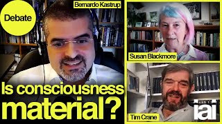 What is consciousness  Bernardo Kastrup Tim Crane and Susan Blackmore [upl. by Ailin770]