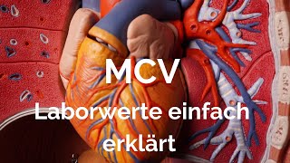 MCV Laborwerte einfach erklärt [upl. by Dyun590]