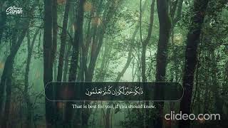 Surah Saff Ayat 10  13 [upl. by Blanc902]