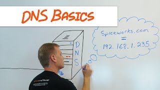 IT in Three DNS Basics [upl. by Koal]