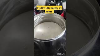 fluffy idli batter at home Idli batter इडलीचे पीठ घरी [upl. by Adnilec328]