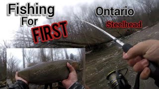 My first Lake Ontario SteelheadMaxwell Creek [upl. by Keppel950]