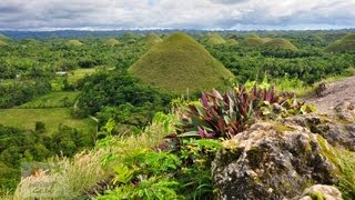 Tour Bohol Philippines  See the tourist attractions of Bohol [upl. by Rehpotsirc]