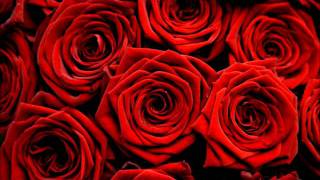 Red Roses for a Blue Lady  Backing Track [upl. by Asirret]