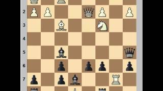 Poisoned Pawn Rudolf Maric vs Svetozar Gligoric [upl. by Aruasi]