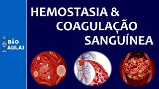 Hemostasia e Coagulação Sanguínea Atuação das Plaquetas e a Cascata de Coagulação [upl. by Ailero449]