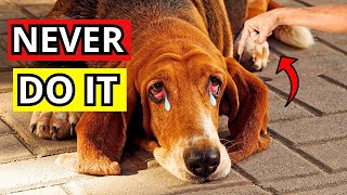 🐕😱10 SHOCKING THINGS YOU DO THAT YOUR DOG HATES [upl. by Stoops]