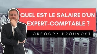 LE SALAIRE DE LEXPERTCOMPTABLE [upl. by Yenots599]